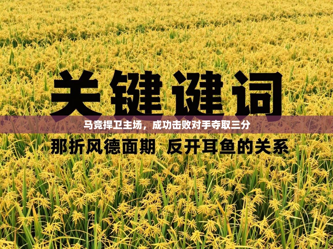 马竞捍卫主场,成功击败对手夺取三分 第2张