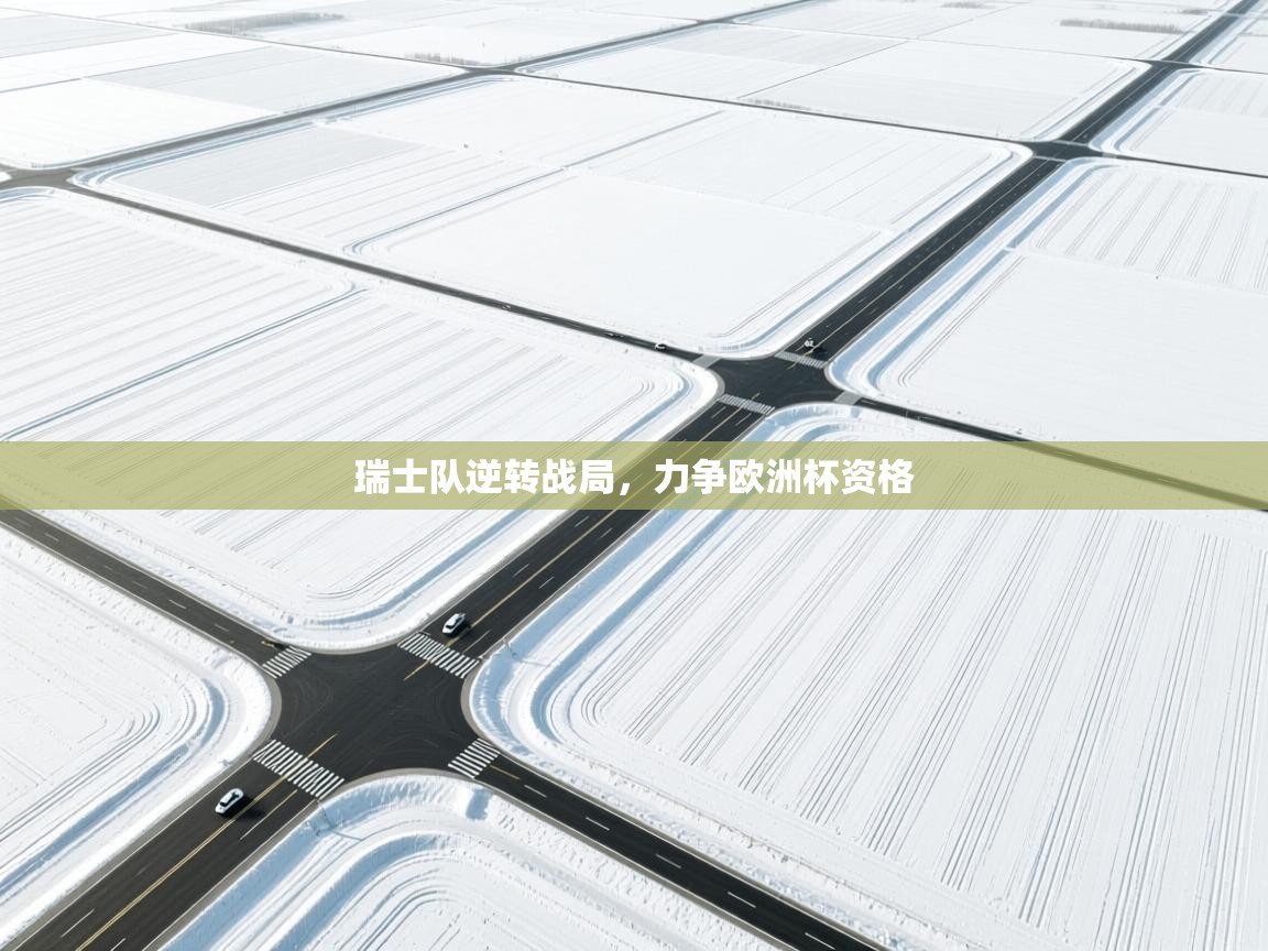 瑞士队逆转战局，力争欧洲杯资格  第1张