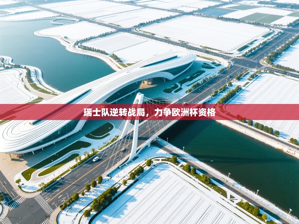 瑞士队逆转战局，力争欧洲杯资格  第2张