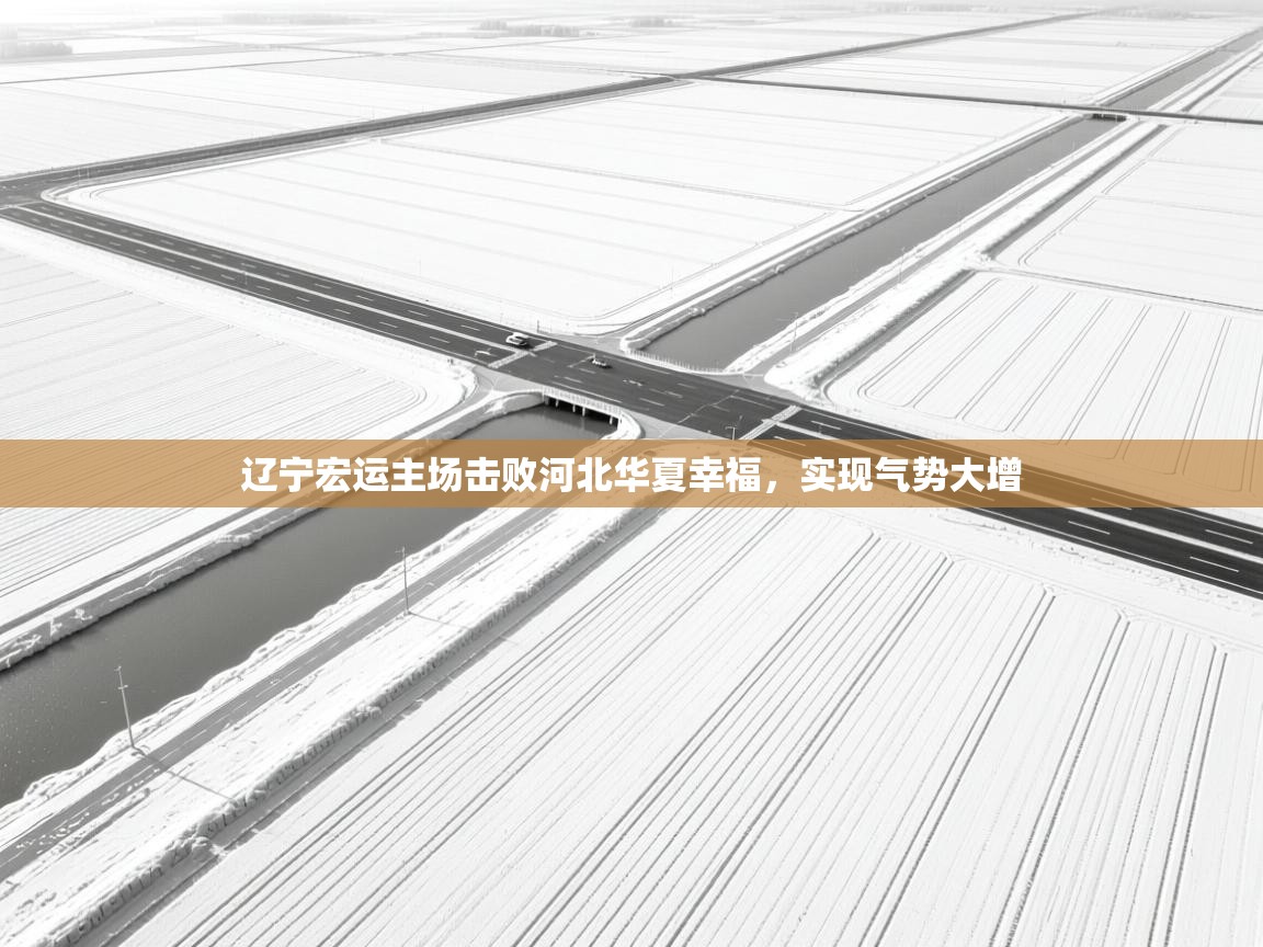 辽宁宏运主场击败河北华夏幸福,实现气势大增 第1张